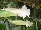 SAM_0170