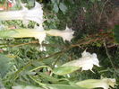 SAM_0168