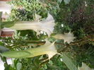 SAM_0167