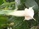 SAM_0165