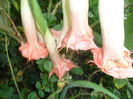 SAM_0160