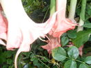 SAM_0153