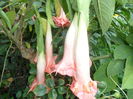 SAM_0150