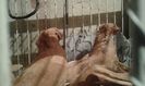 20150919_210720