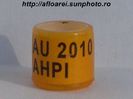 au 2010 ahpi