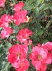 DSC04882