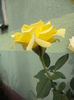 DSC04884