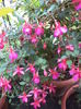 DSC04892