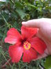 DSC04900
