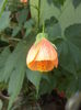 DSC04904