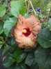 DSC04906