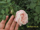 SAM_7137