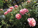 20 sept, Jubilee Celebration