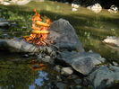 DSCN5231