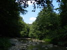 DSCN5235