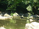 DSCN5236