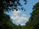 DSCN5237