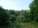 DSCN5262