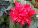20150919_152725
