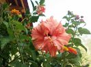 20150919_152241