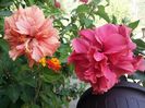 20150919_152359