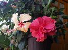 20150919_152605