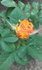 20150920_112357