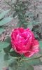 20150920_112319