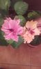 20150920_103724