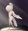 show_bird_by_bkatt500-d64p77j