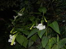 DSCN8830