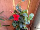 IMG_20150917_123754