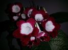 20150921_175513