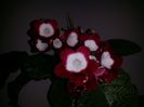 20150921_175549