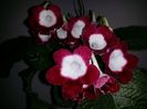 20150921_175634