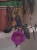 20150921_010407