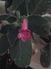 20150921_010438