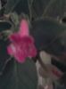 20150921_010505