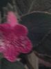 20150921_010541