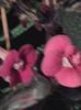 20150921_010655