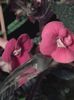 20150921_010703