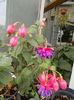 DSCN2948