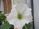 DSCN6327