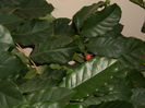 P5250149