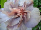 SAM_0330