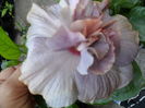 SAM_0326