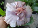 SAM_0324