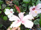 SAM_0316
