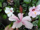 SAM_0314
