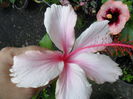 SAM_0311